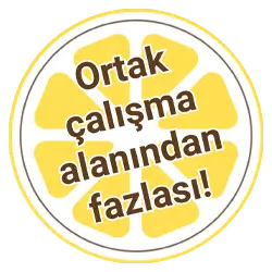 tr-lemon-twist-logo-product-volp.png